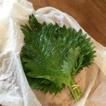 感激でした！我が家で私しか食べない大葉。でも少しでもほしいので、長期保管できてとても嬉しいです。ありがとうございます！